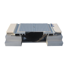 Metal Floor Expansion Joint Cover MSDGP